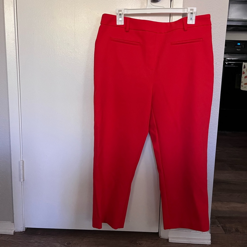 Rachel Zoe Vibrant Orange Slacks